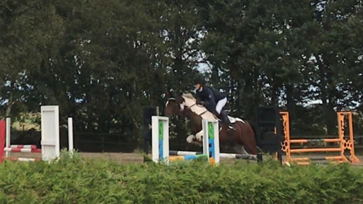 Anden særlig race Tulle Ørnhøj - Vores første 1 m klasse  billede 16