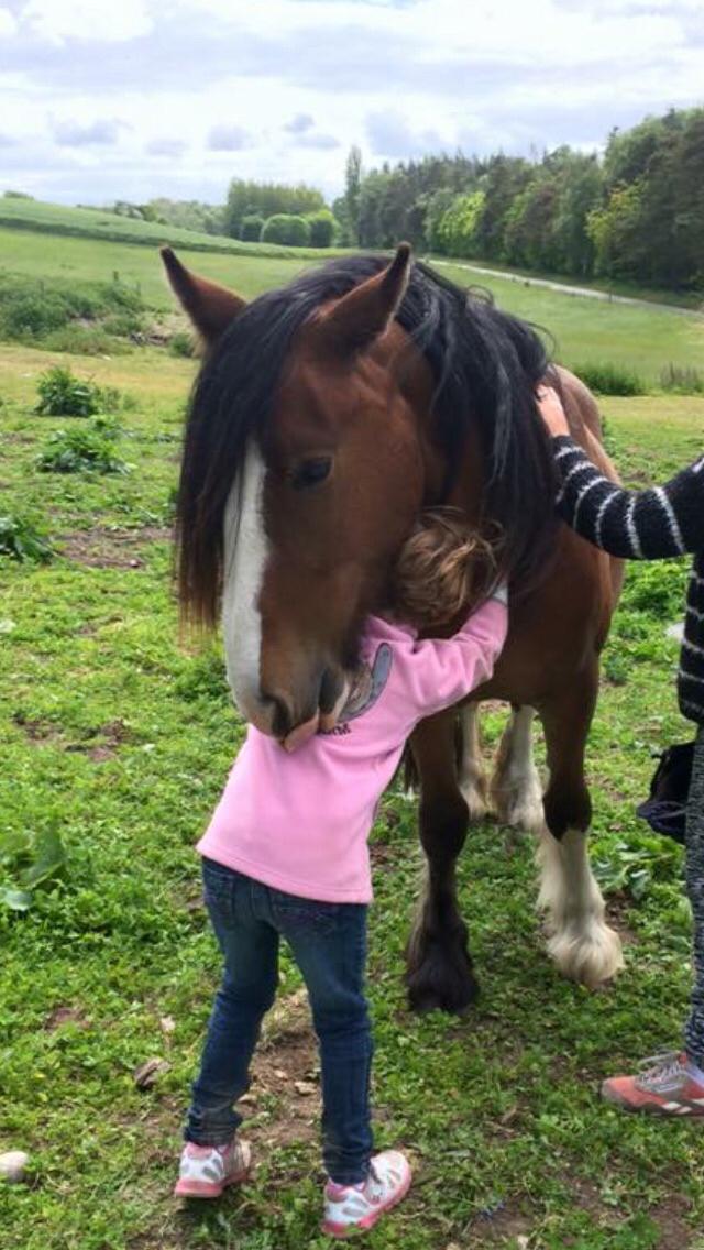 Tinker Aasgaard's Mac. O' Connor billede 22