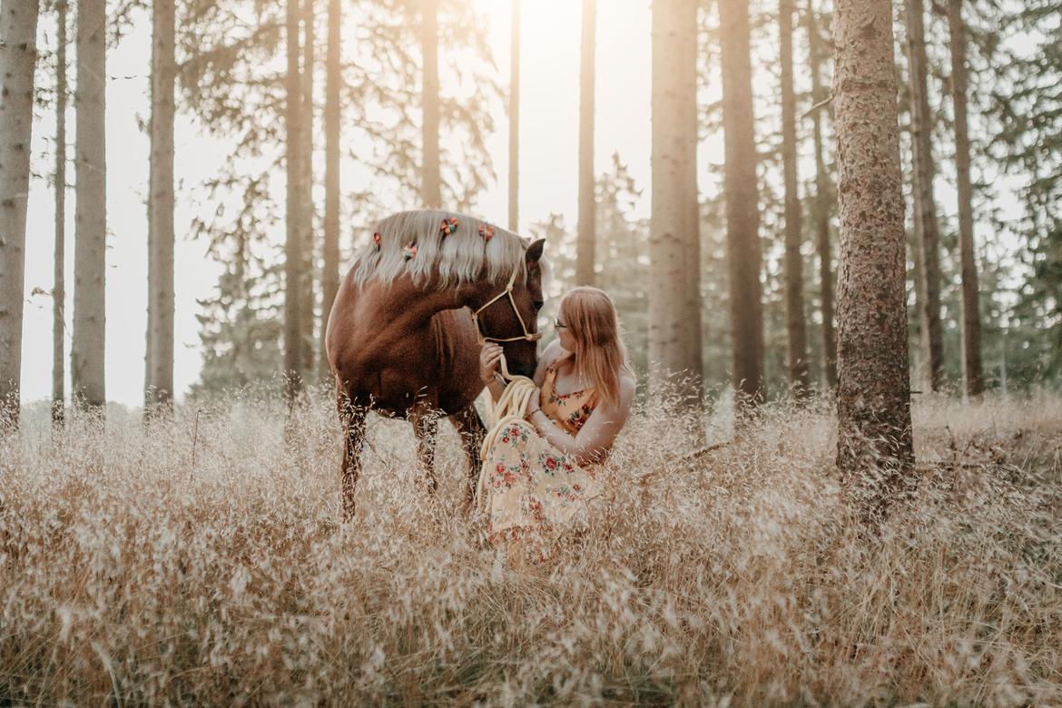Anden særlig race Miss Dolly (Tamara)  billede 4