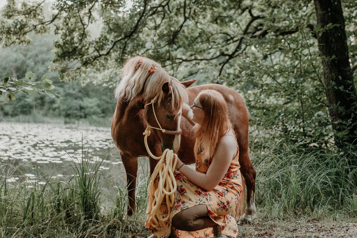 Anden særlig race Miss Dolly (Tamara)  billede 6