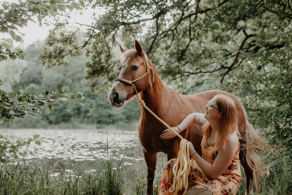 Anden særlig race Miss Dolly (Tamara)  billede 7
