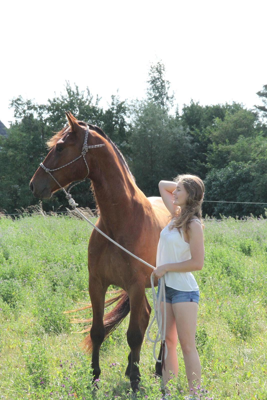 Frederiksborg Toby A Bjældsø - 12-08-2019 billede 6