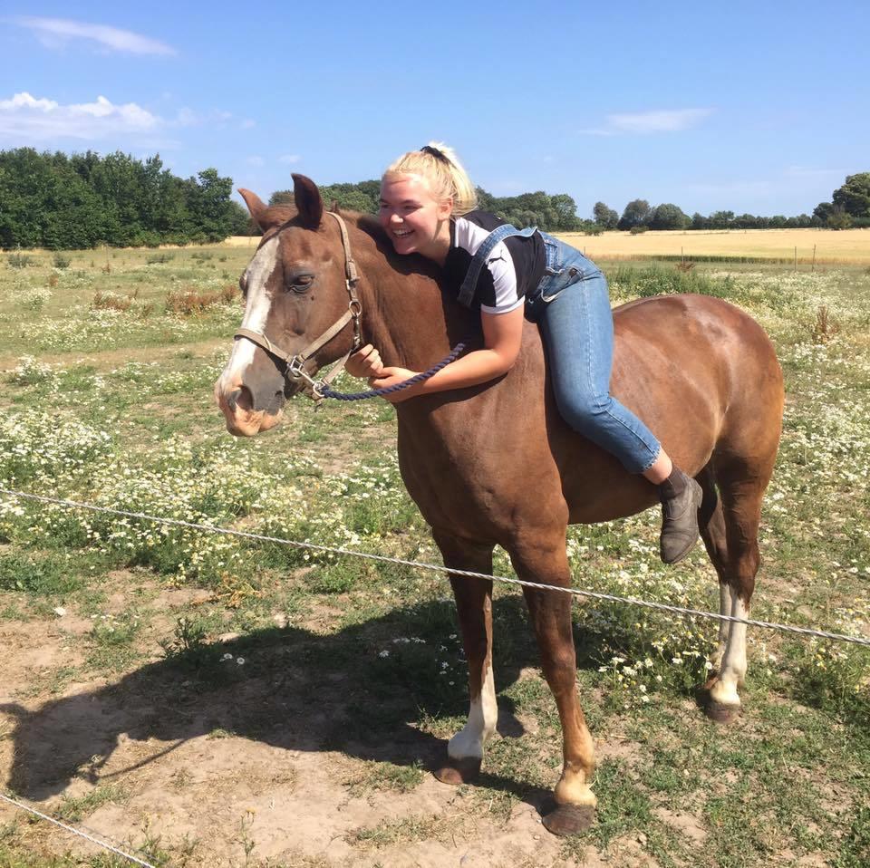 New Forest Tosca  - sommeren 2018 billede 1