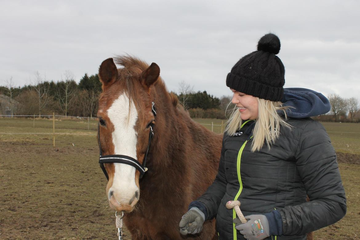 New Forest Tosca  - Foråret 2018 billede 3