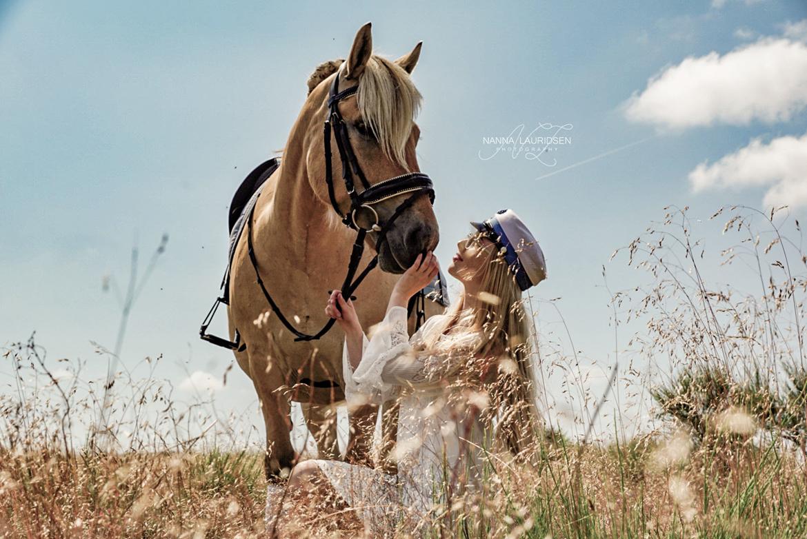 Fjordhest SILA KASTLUND - Student, 24-06-19 <3 billede 1