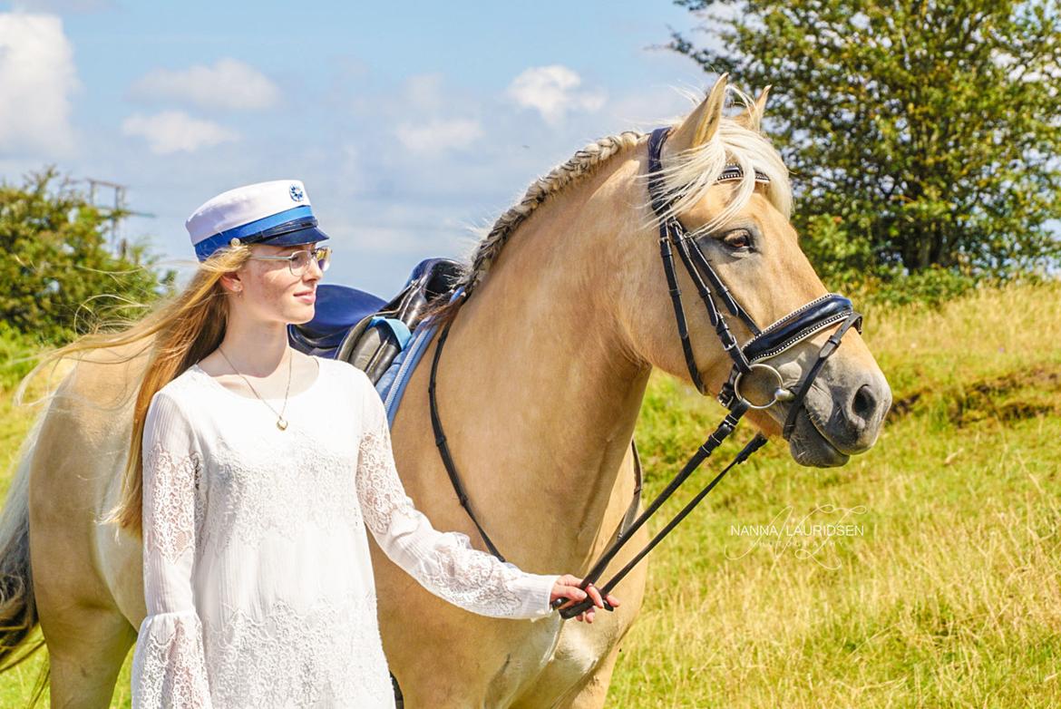 Fjordhest SILA KASTLUND - Student, 24-06-19 <3 billede 3