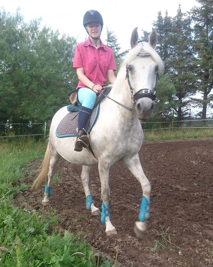 Arabisk fuldblod (OX) Lisa - En god ridetur billede 5