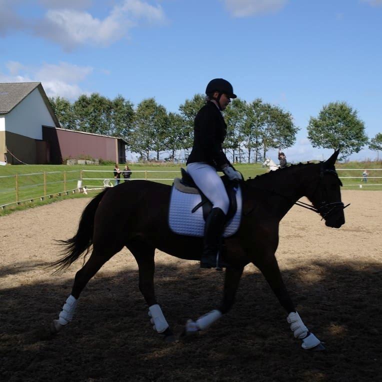 Traver Return Sujaki - Baby billede 2