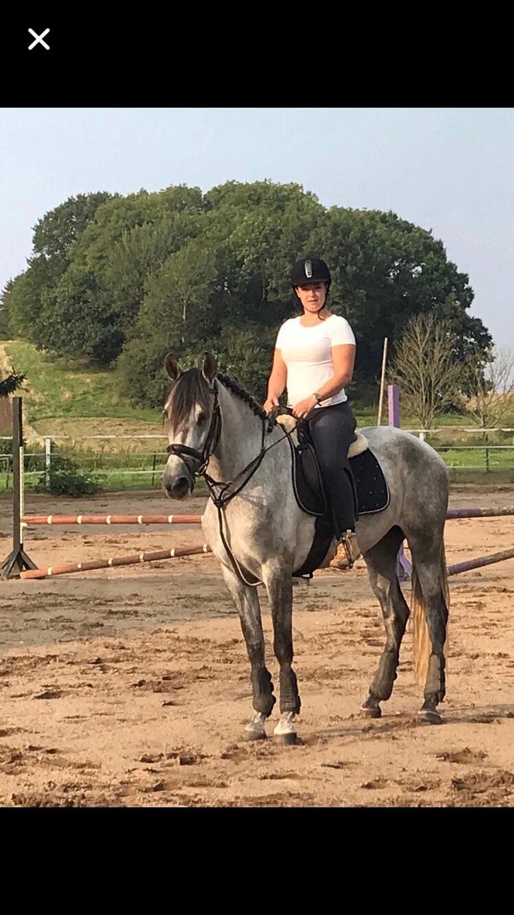 Lusitano Legendarich billede 2
