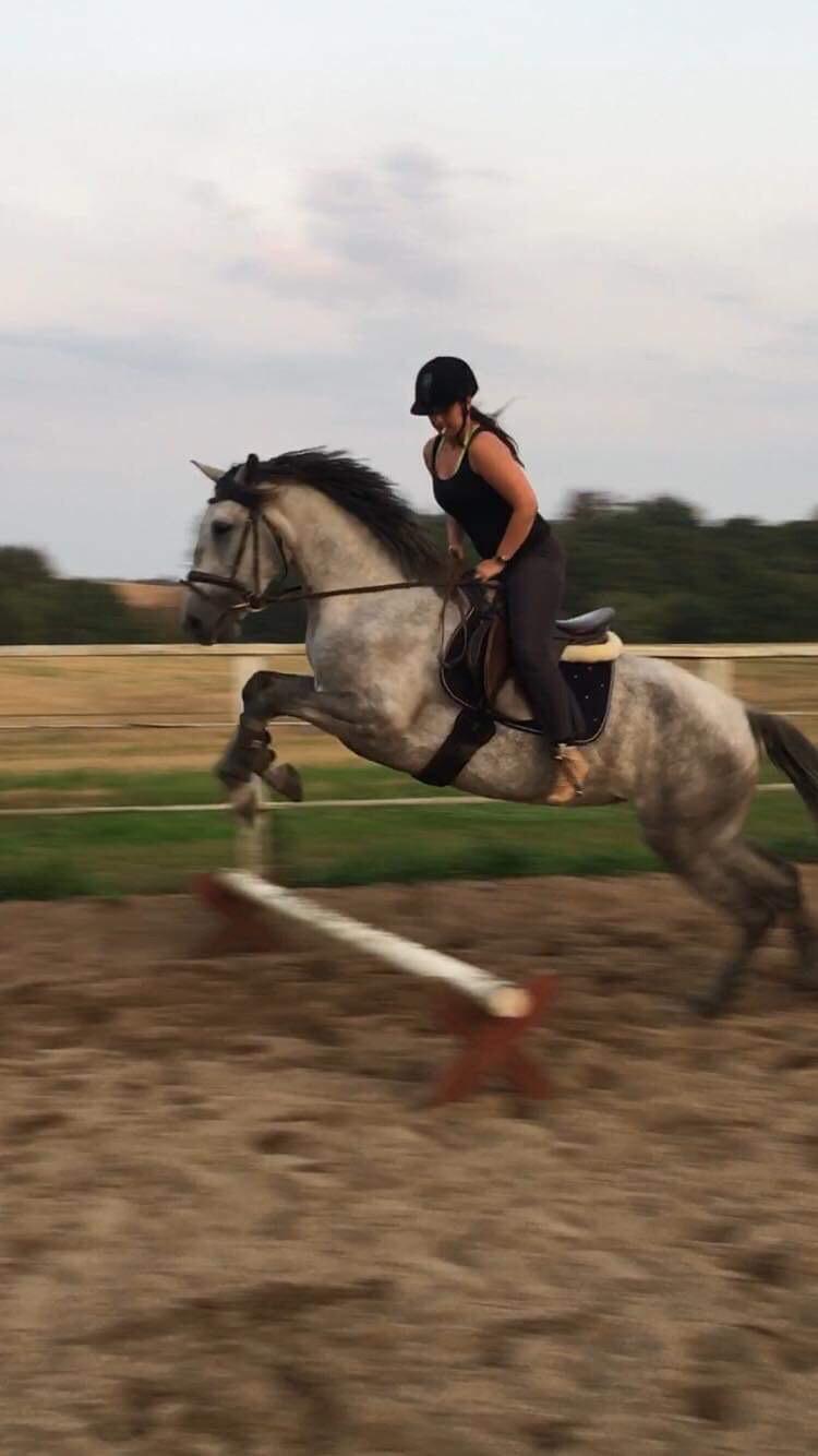 Lusitano Legendarich billede 5