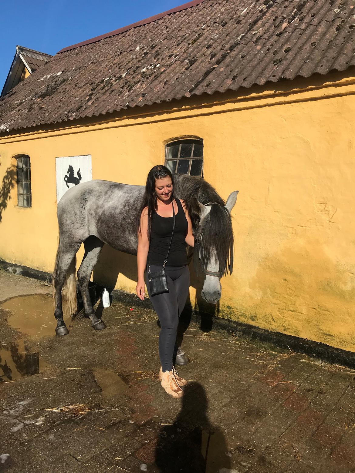 Lusitano Legendarich billede 6