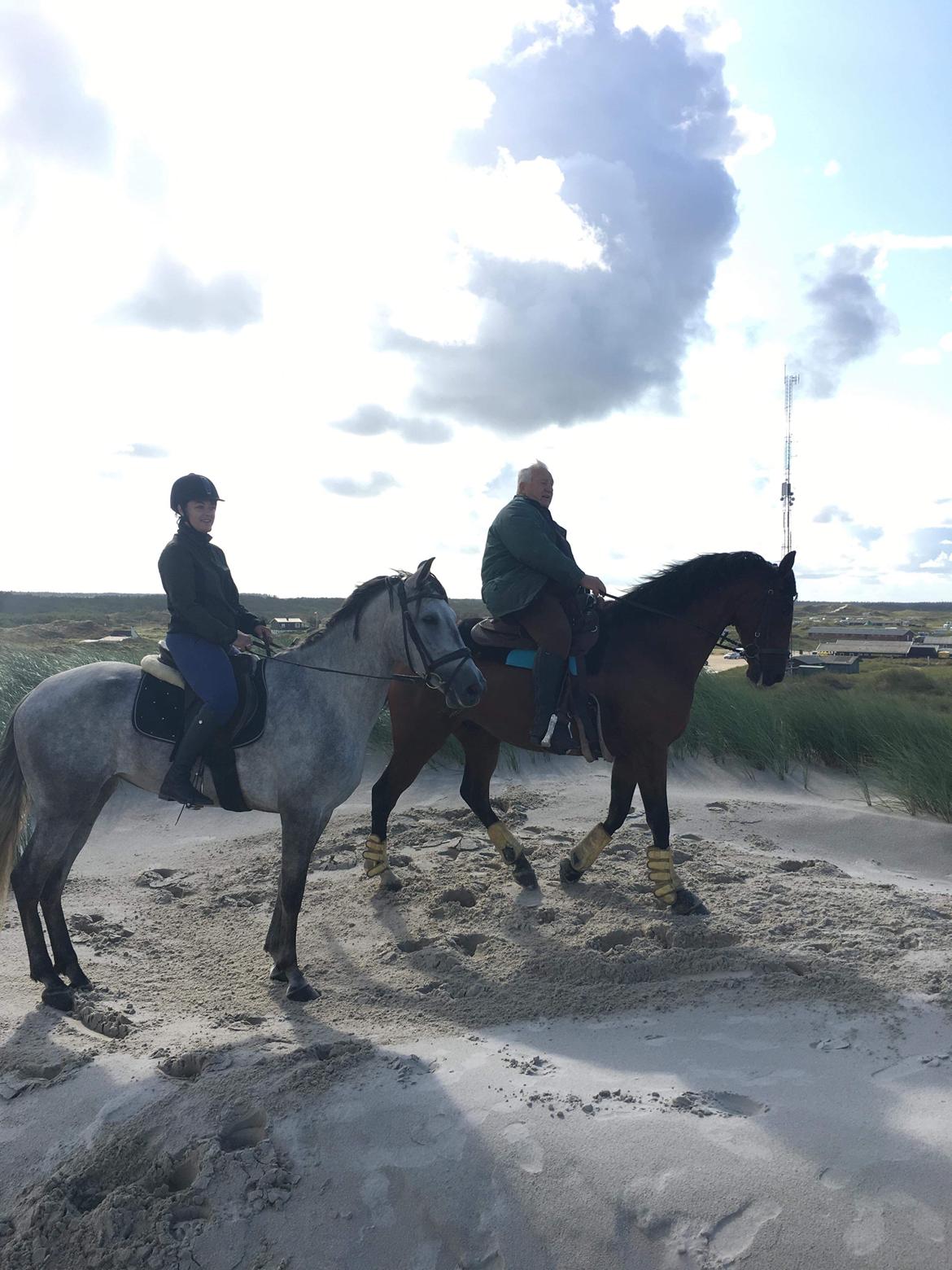 Lusitano Legendarich billede 8