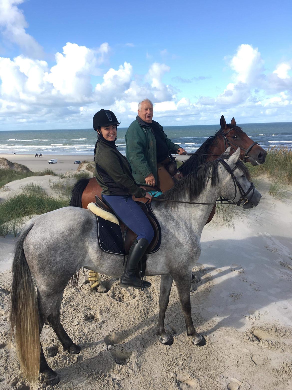 Lusitano Legendarich billede 9