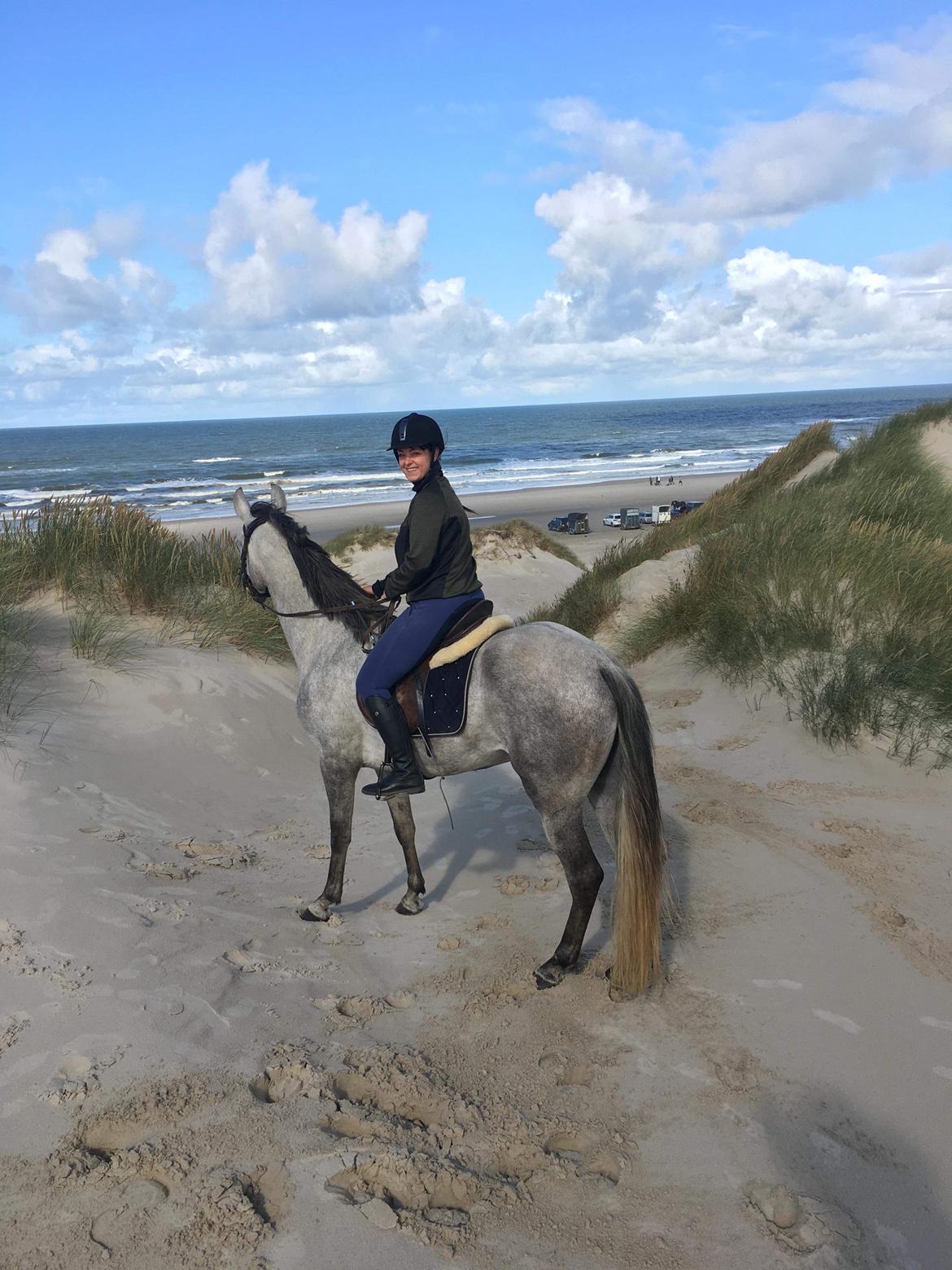 Lusitano Legendarich billede 10