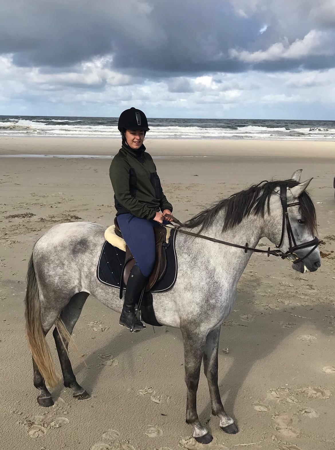 Lusitano Legendarich billede 13