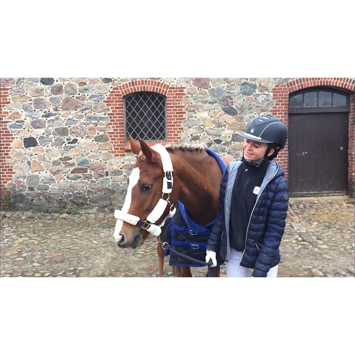 Anden særlig race Antos Bonus billede 15