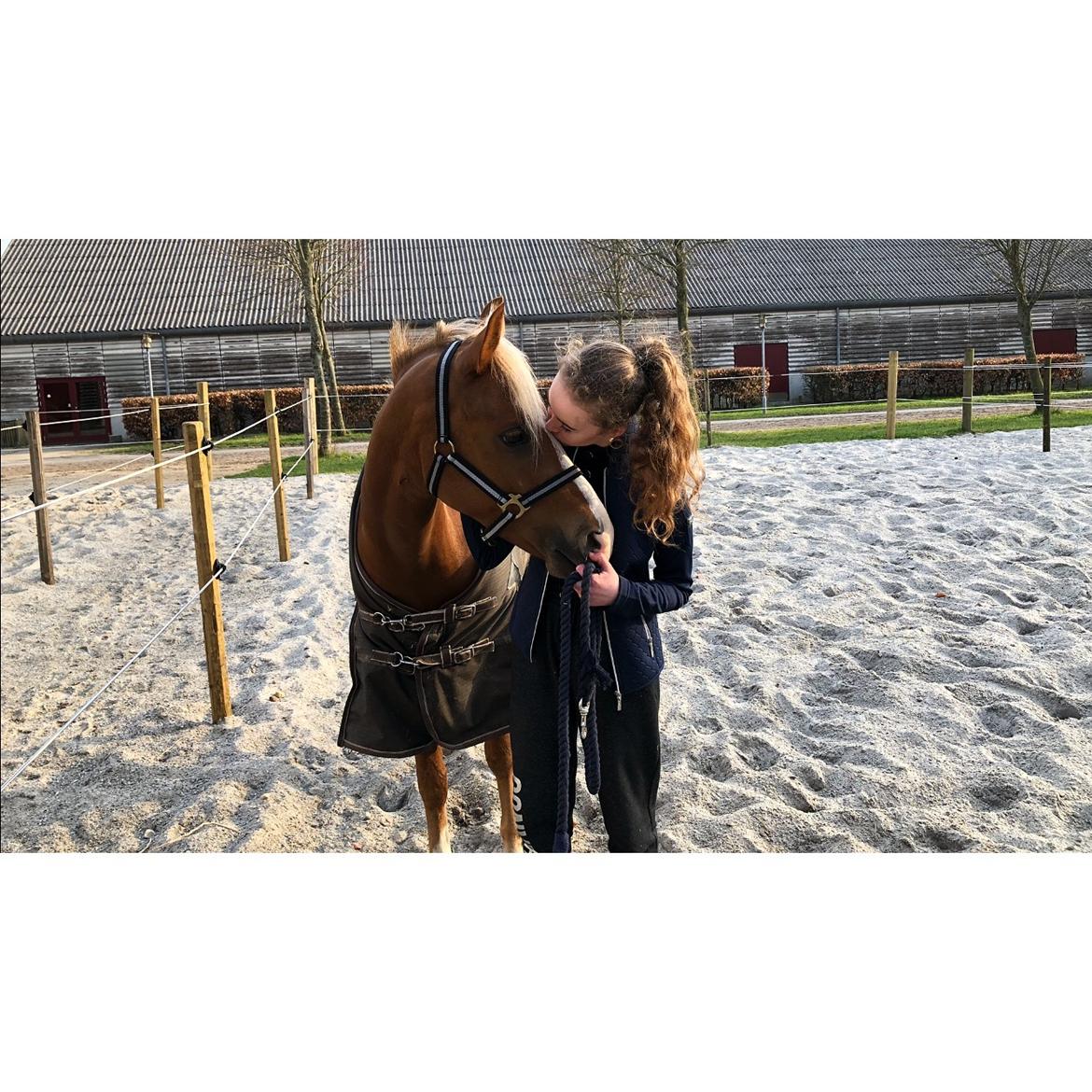 Anden særlig race Antos Bonus - Jeg elsker ham så højt! <3 billede 10