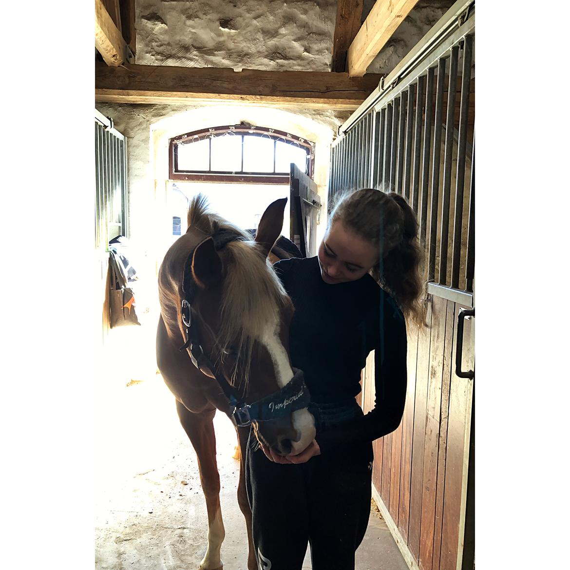 Anden særlig race Antos Bonus billede 7