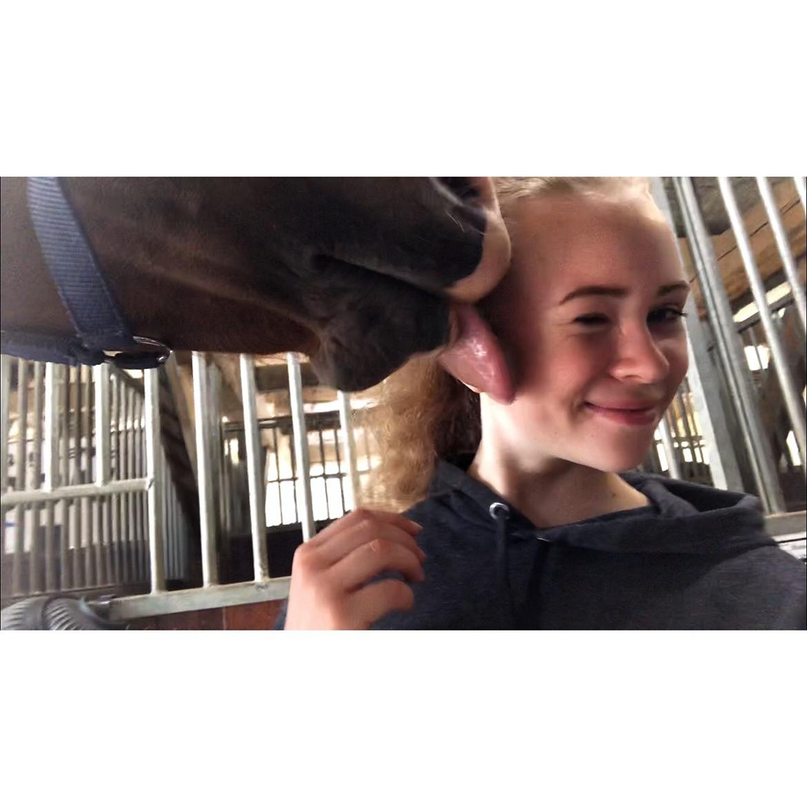 Anden særlig race Antos Bonus billede 9