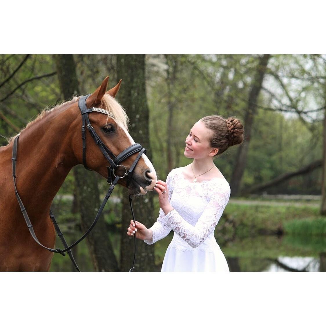 Anden særlig race Antos Bonus billede 17