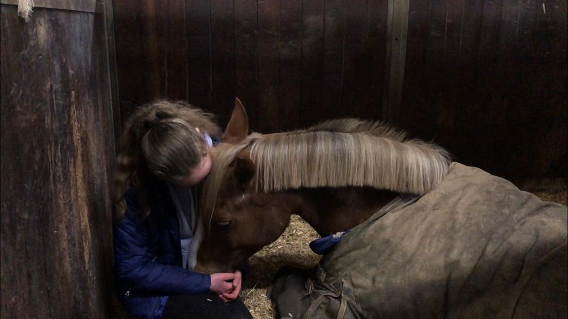 Anden særlig race Antos Bonus billede 13