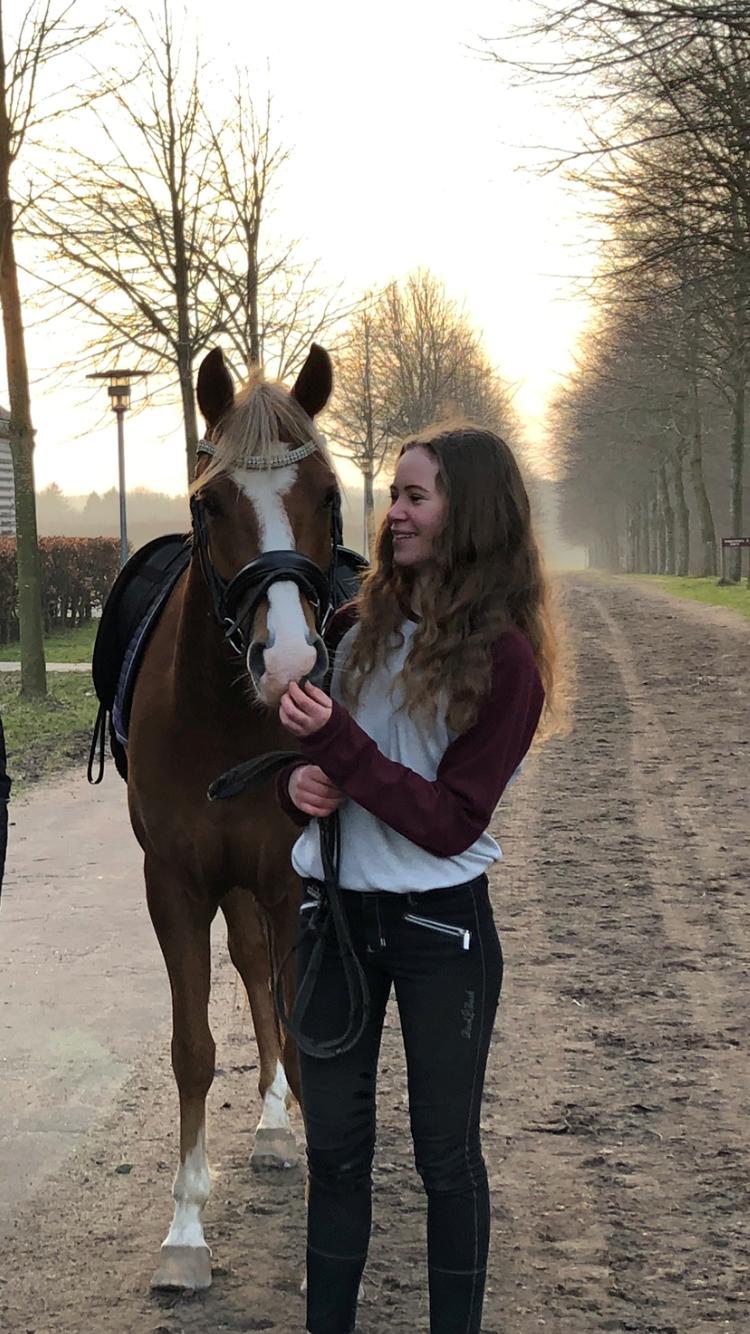 Anden særlig race Antos Bonus billede 11