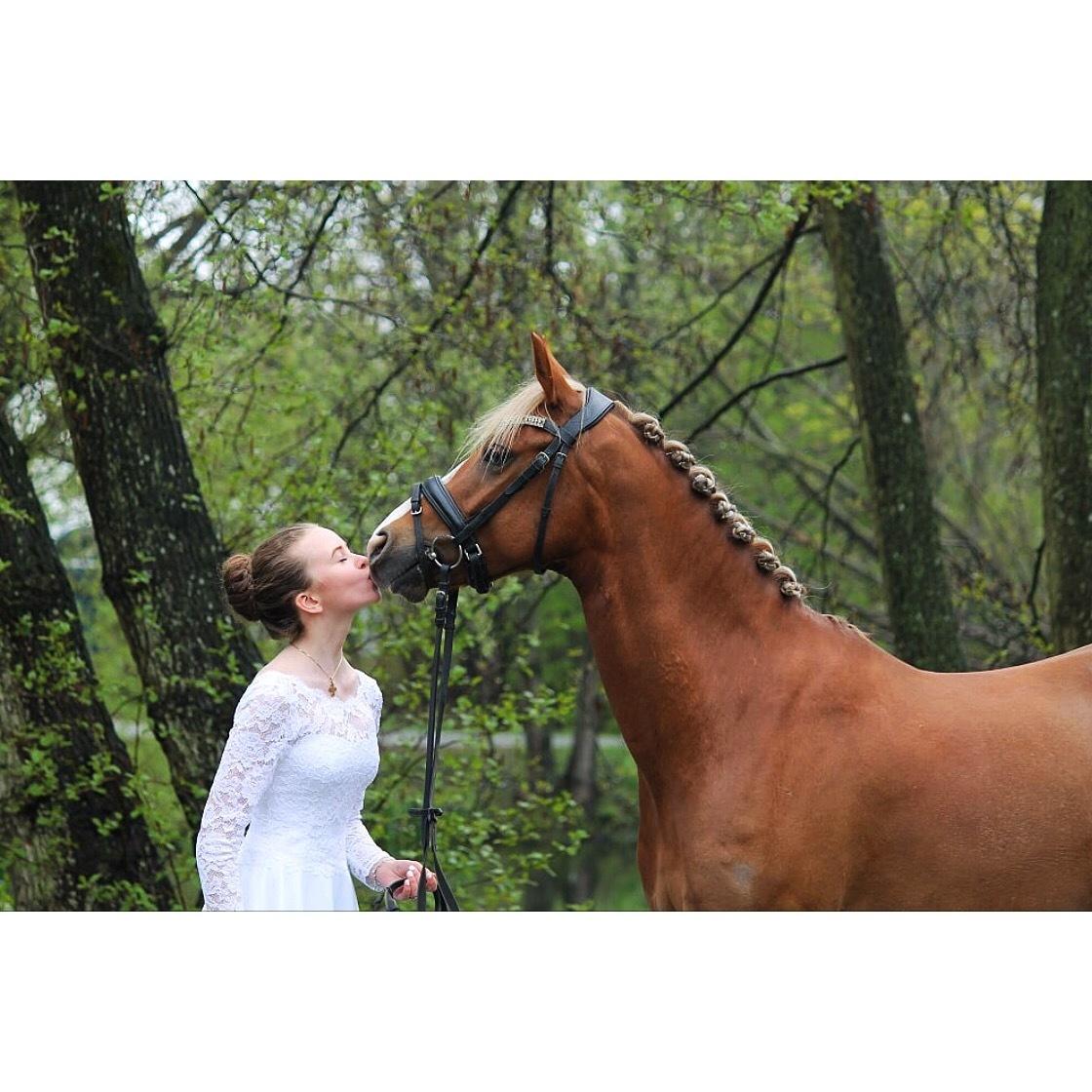 Anden særlig race Antos Bonus billede 8