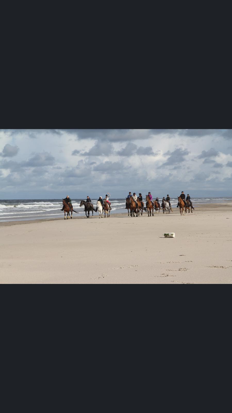 Lusitano Legendarich billede 12