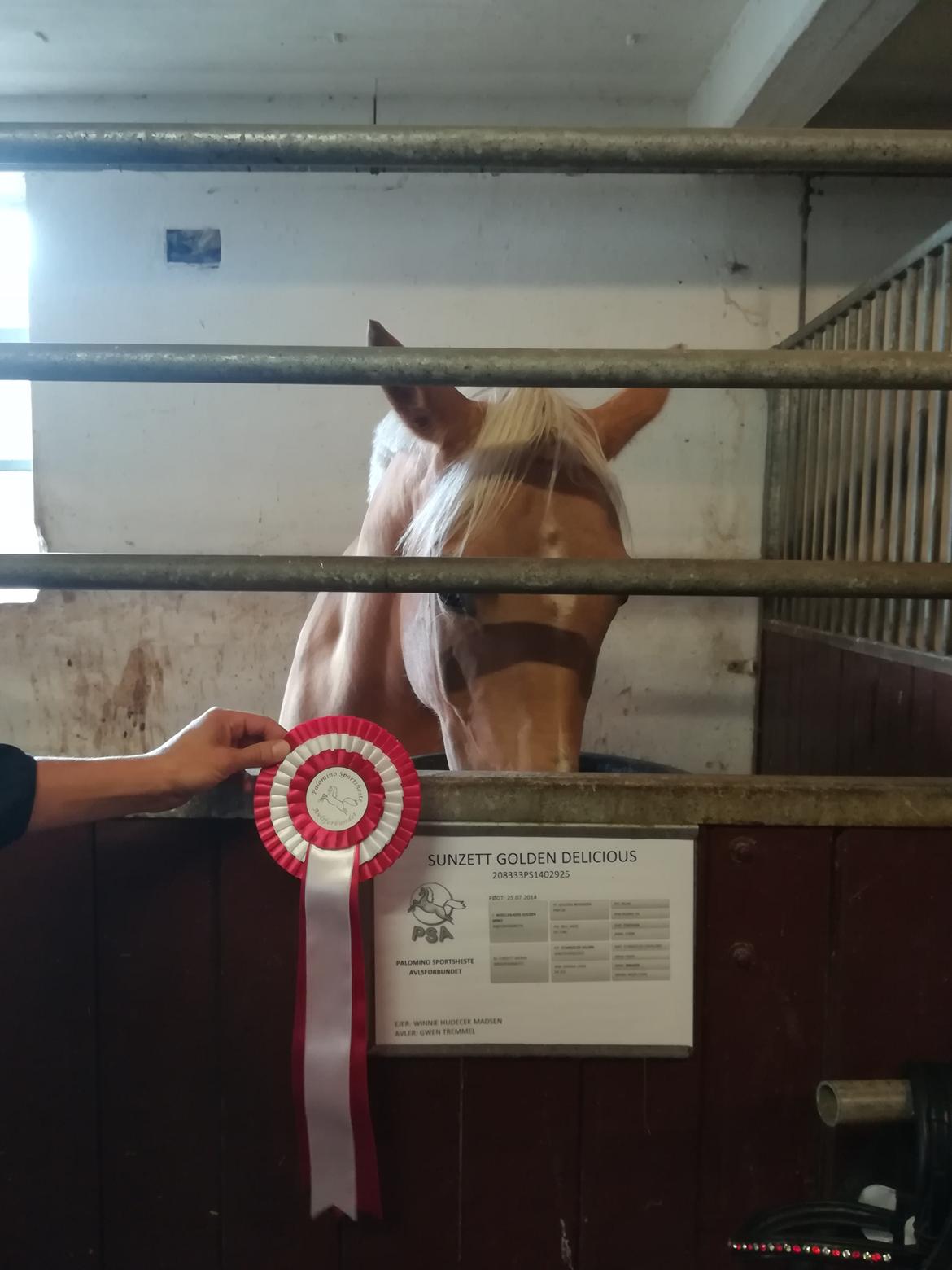 Palomino Sunzett golden delicious billede 14