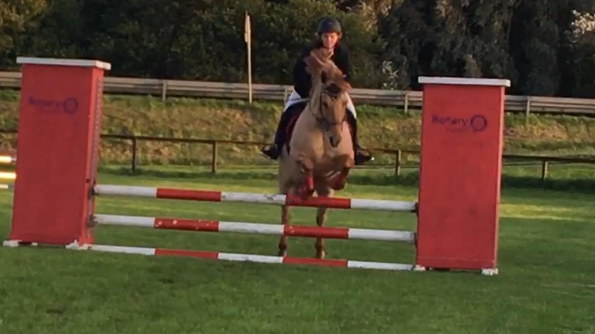 Anden særlig race Adonis billede 6