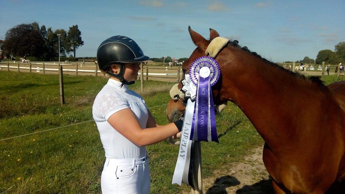 DSP Stidsbjergs Poncho - Med Fairplay roset efter racestævne 2019 billede 19