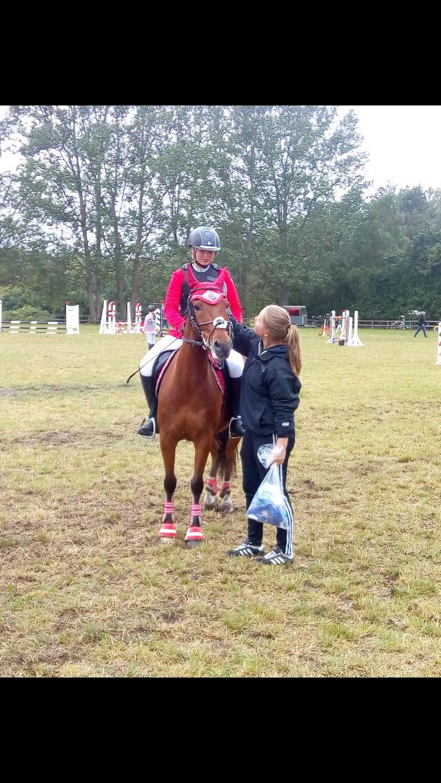 DSP Stidsbjergs Poncho - 2. Plads på D4 horseshow i en finale billede 17