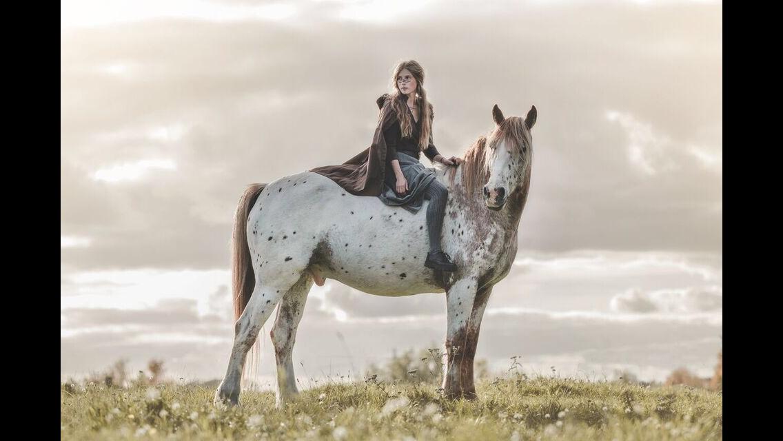 Anden særlig race Caspian (Kalle) billede 2