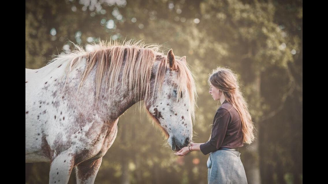 Anden særlig race Caspian (Kalle) billede 1
