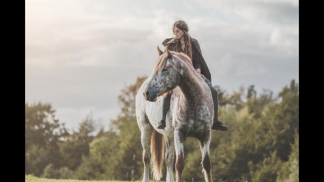 Anden særlig race Caspian (Kalle) billede 4