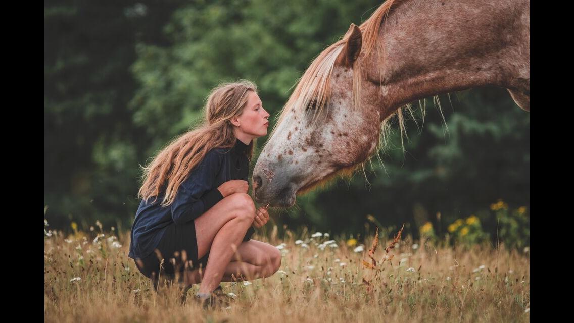 Anden særlig race Caspian (Kalle) billede 5