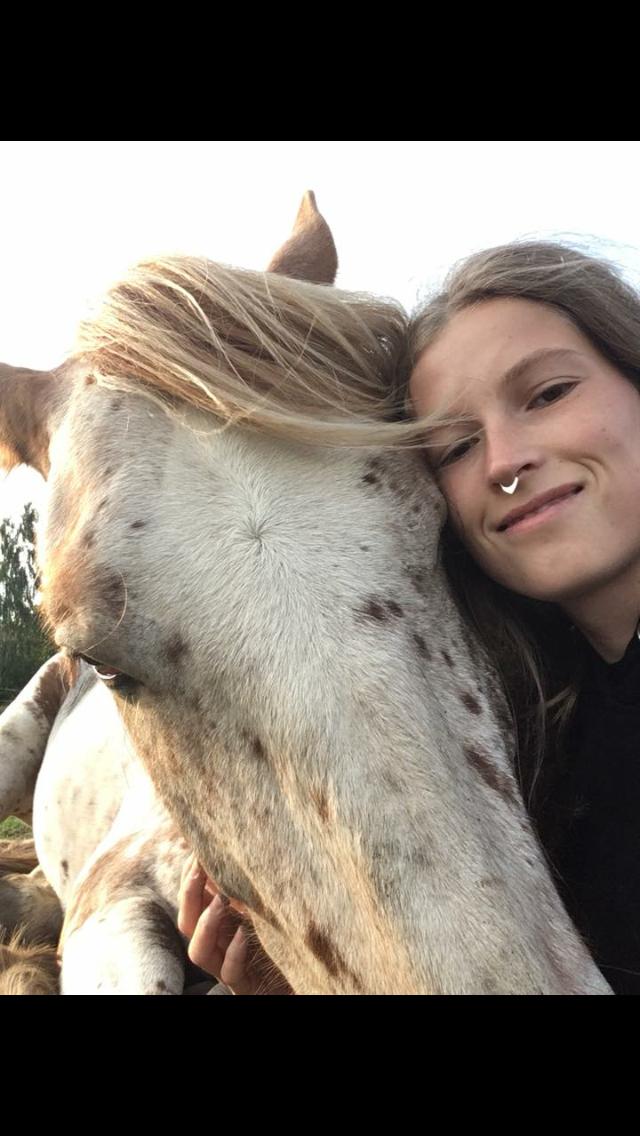 Anden særlig race Caspian (Kalle) billede 9