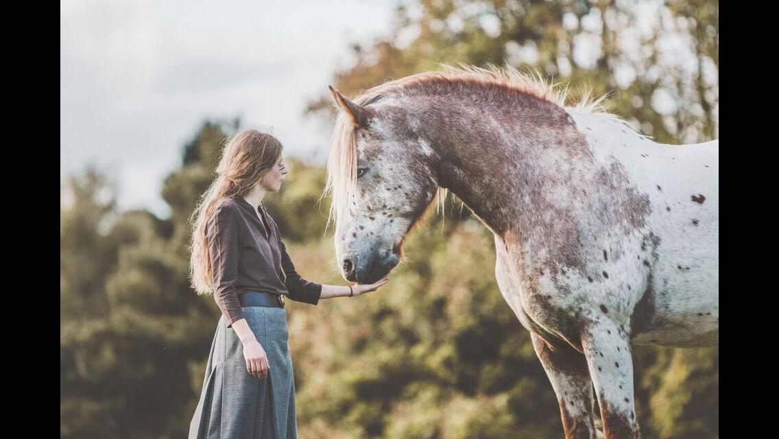 Anden særlig race Caspian (Kalle) billede 11