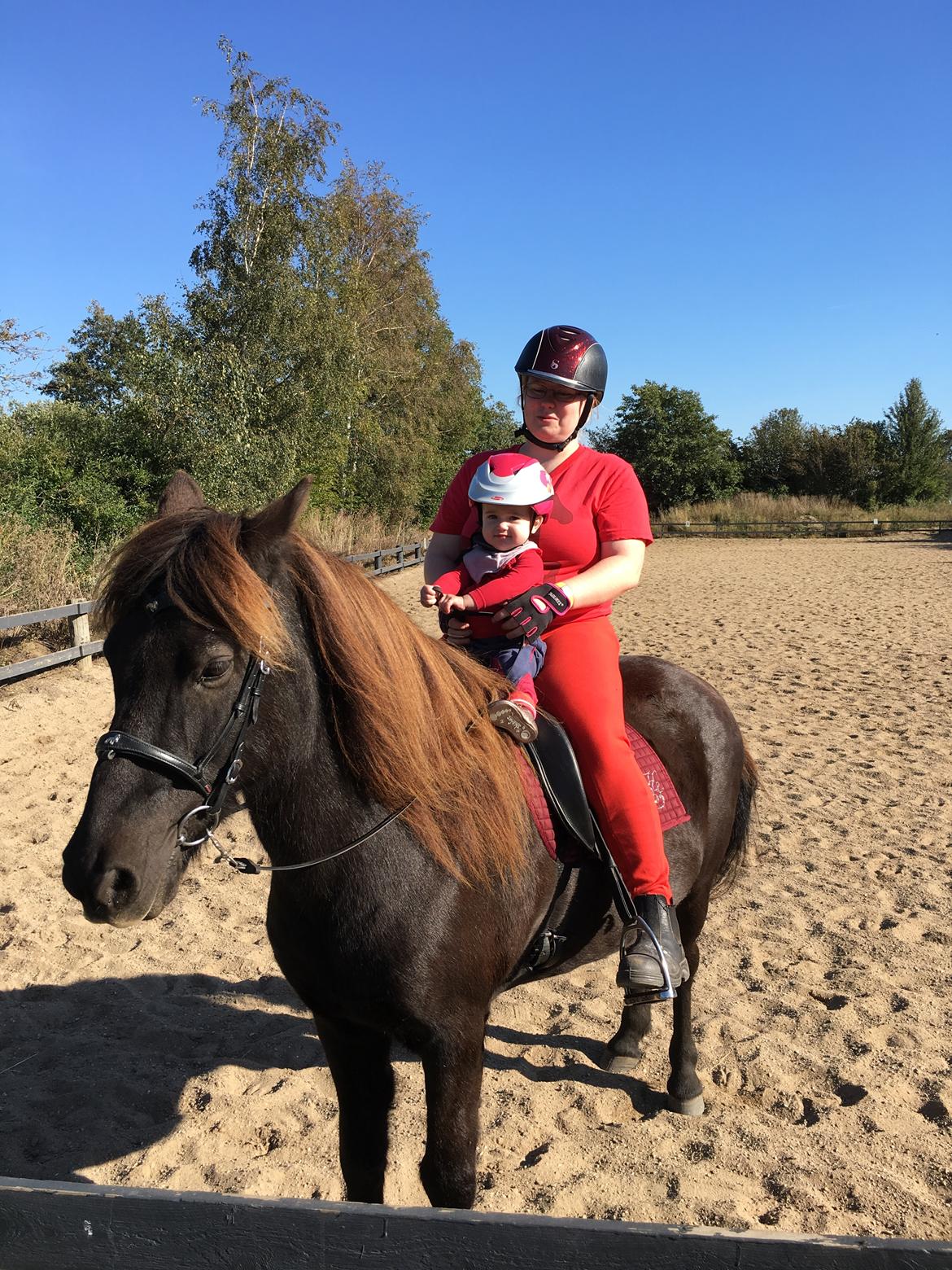 Islænder Heimir fra Blönduósi billede 21