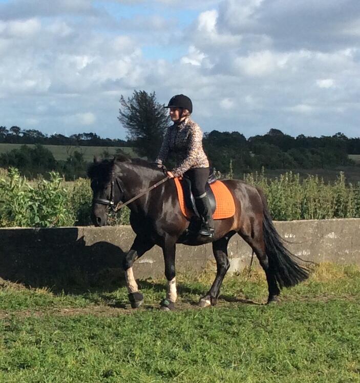 Anden særlig race Stalden's Noah billede 10