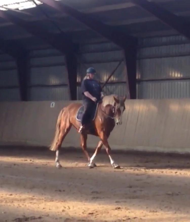 Anden særlig race Mio billede 1