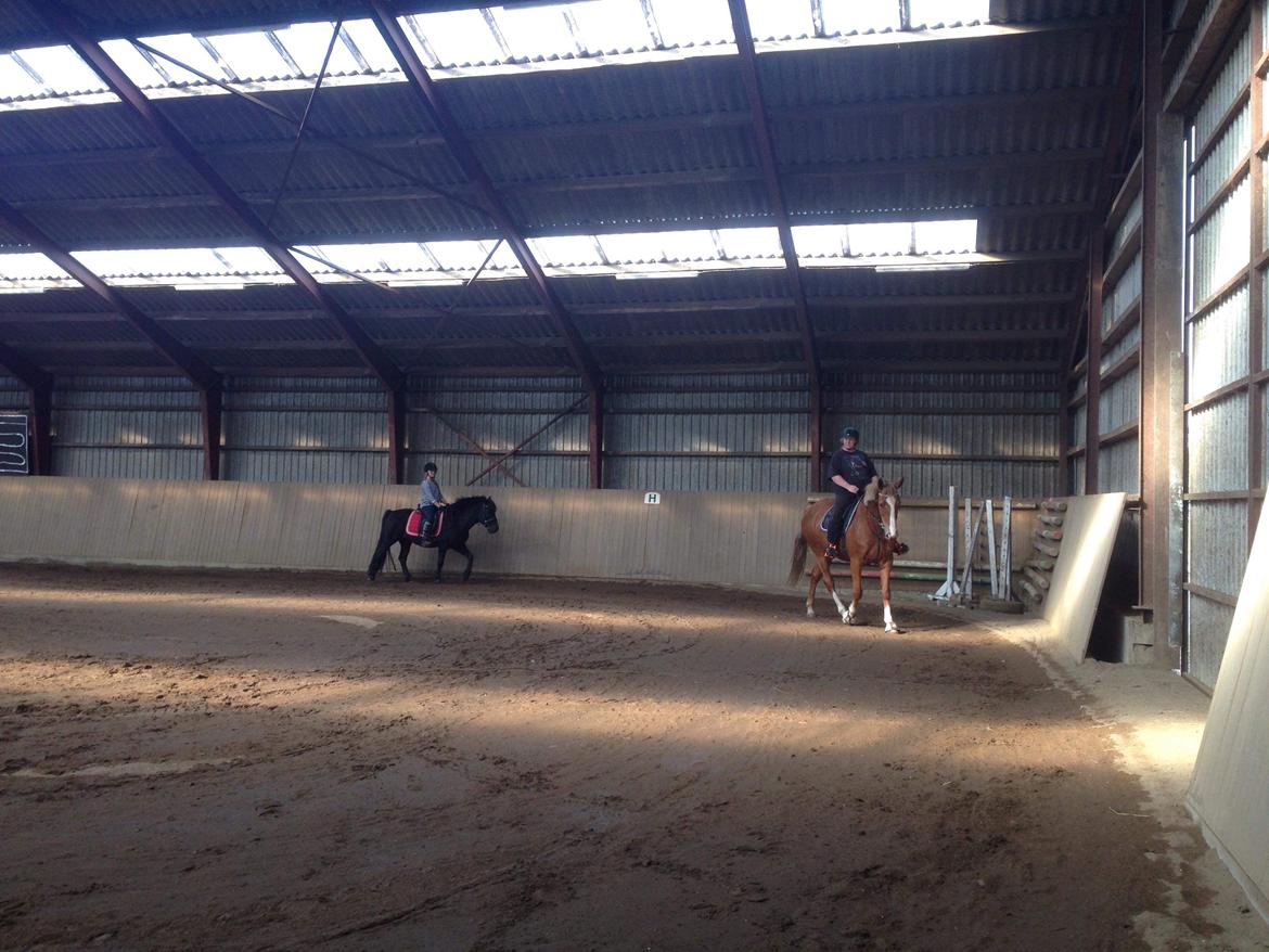 Anden særlig race Mio billede 3