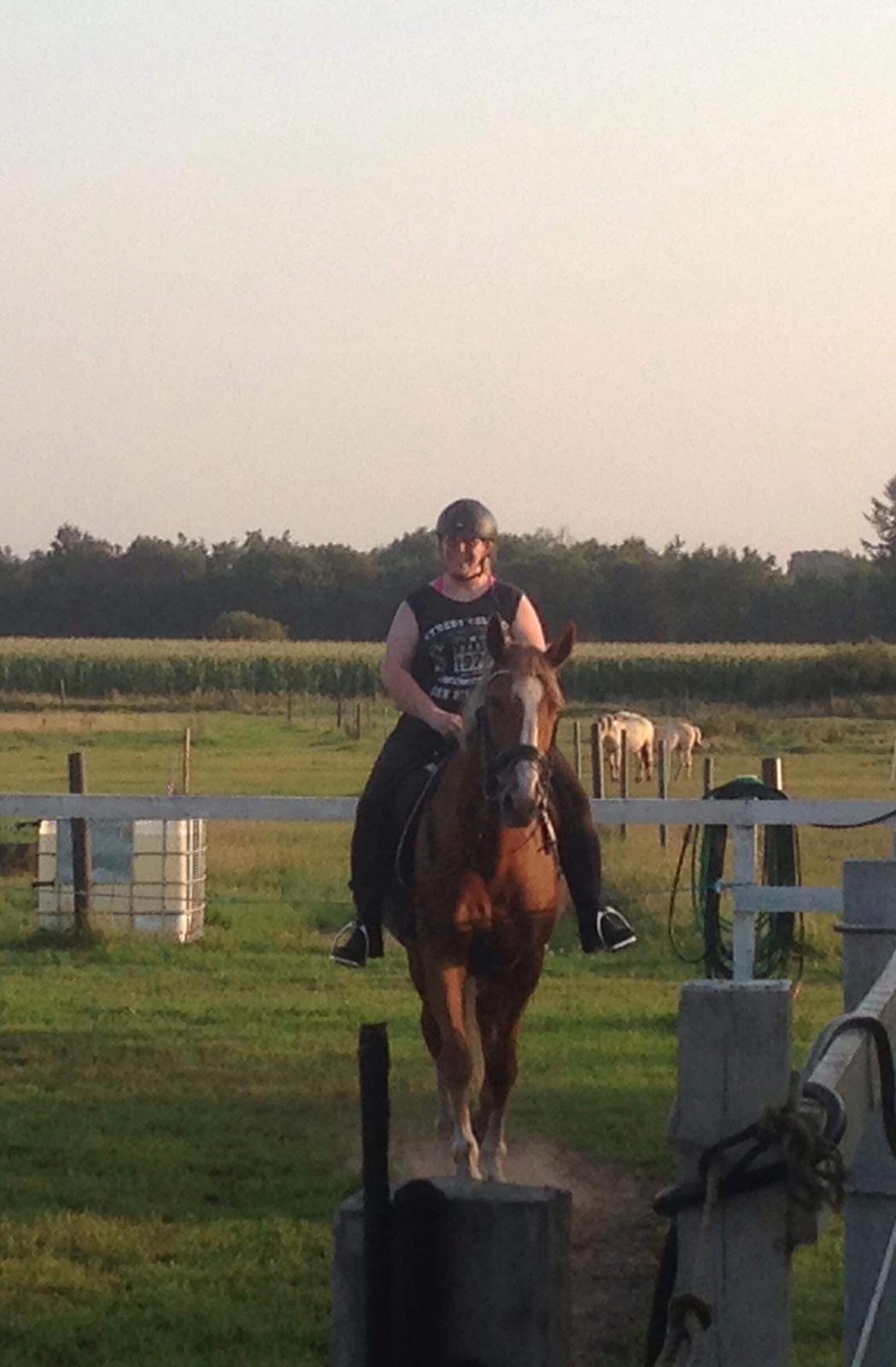 Anden særlig race Mio billede 5