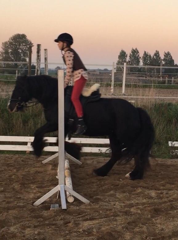 Tinker Black Beauty RIP - En af de første rigtige spring Beauty og ehlana sprang billede 4