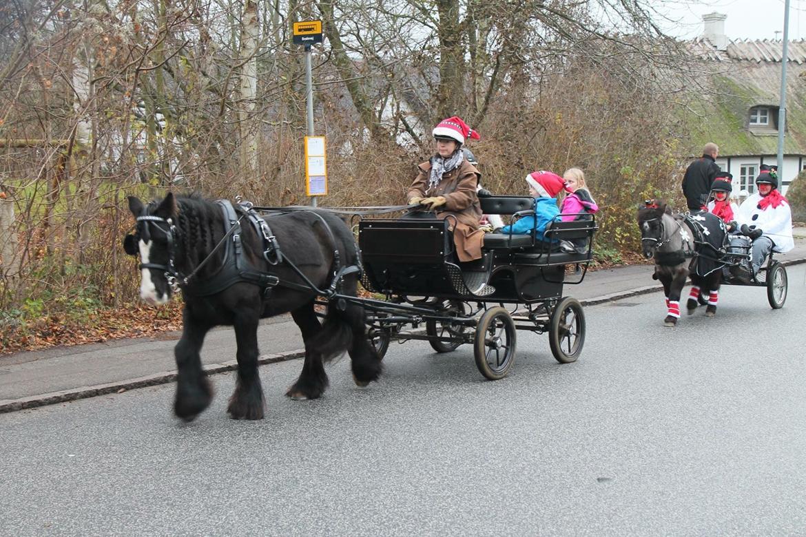 Tinker Black Beauty RIP - Juleoptog i høng julen 2018  billede 6