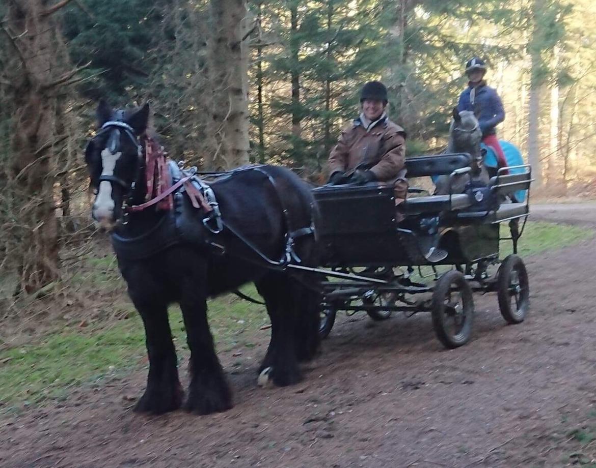 Tinker Black Beauty RIP - En af de mange skovture vi har været på billede 7