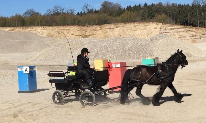 Tinker Black Beauty RIP - Vores allerførste maraton forhindring som blev taget i trav ved stævnet i bromme 2019 billede 10
