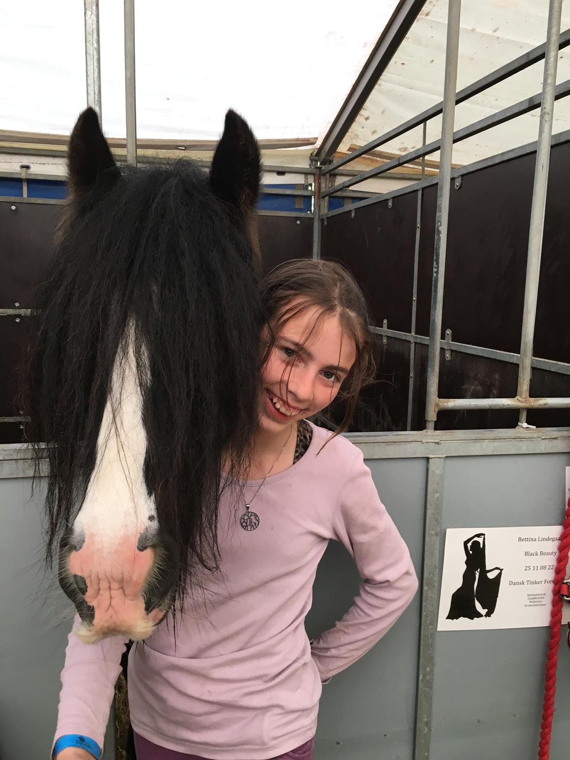 Tinker Black Beauty RIP - 2 dejlige trunter på tur billede 13