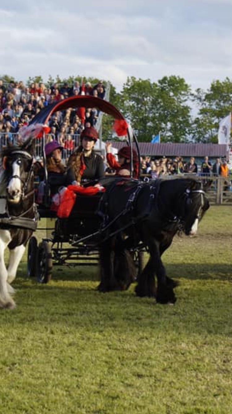 Tinker Black Beauty RIP - Show på roskilde dyreskue billede 15