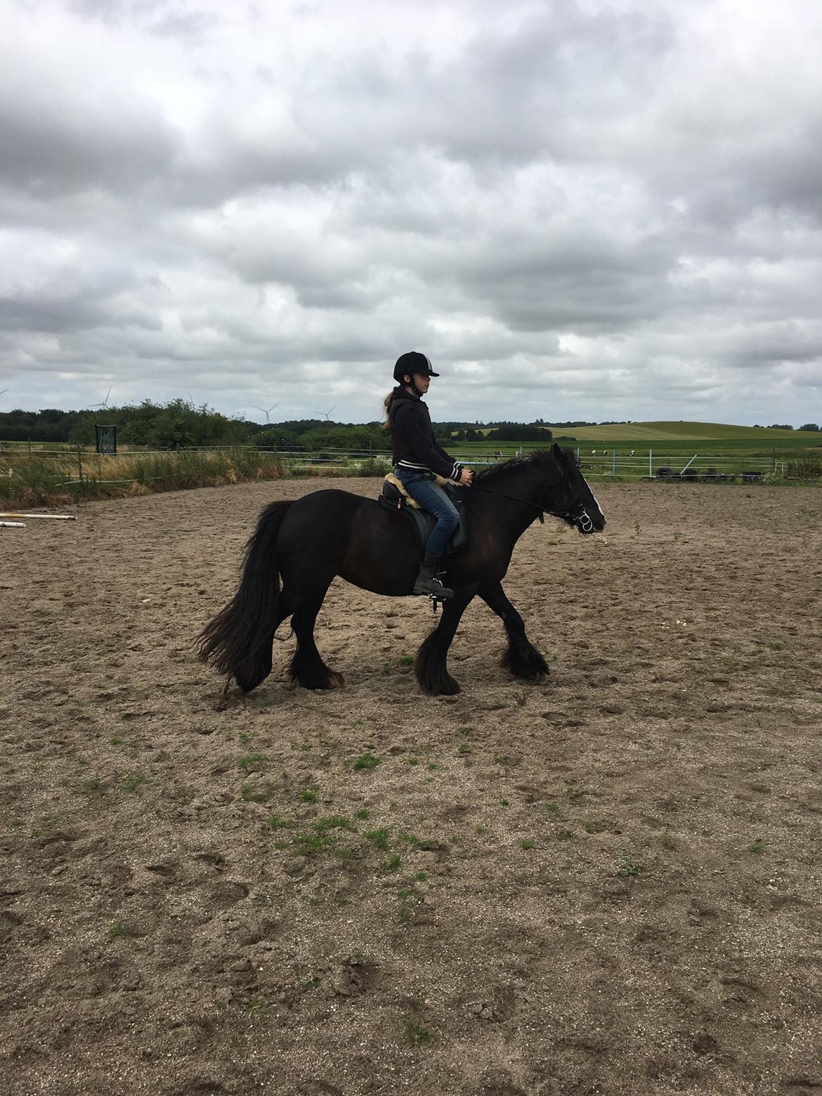 Tinker Black Beauty RIP - Hygge på ridebanen billede 17